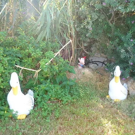 Appart hôtel Colosseo Star