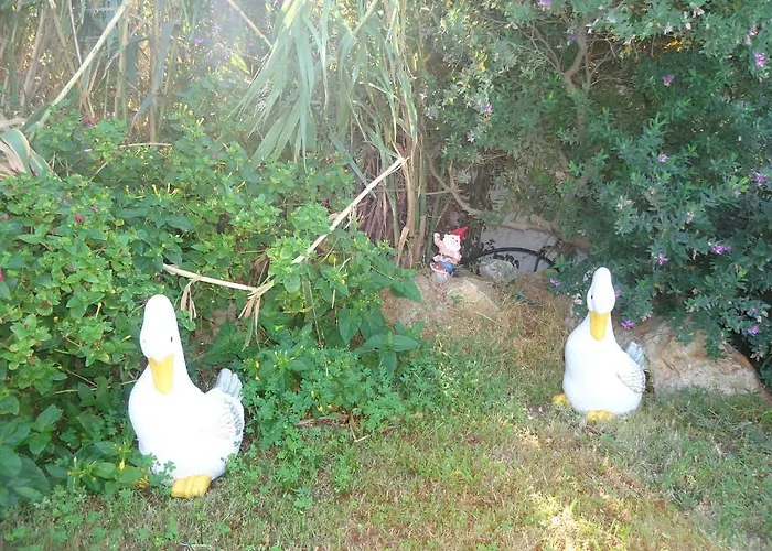 Lägenhetshotell Colosseo Star